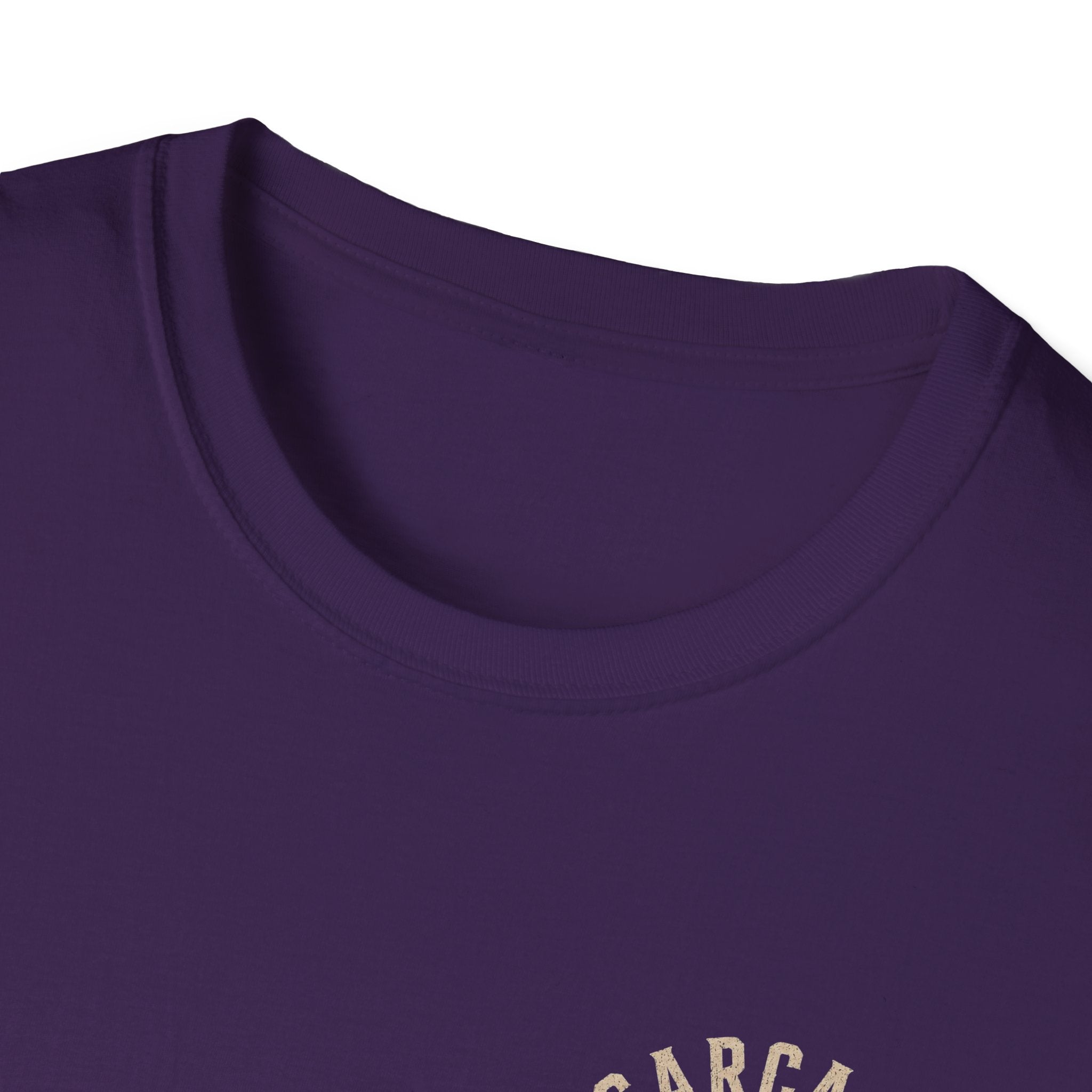 Why Did The Nun Get Fired? Graphic T-Shirt — Joker Villain Comic Art
