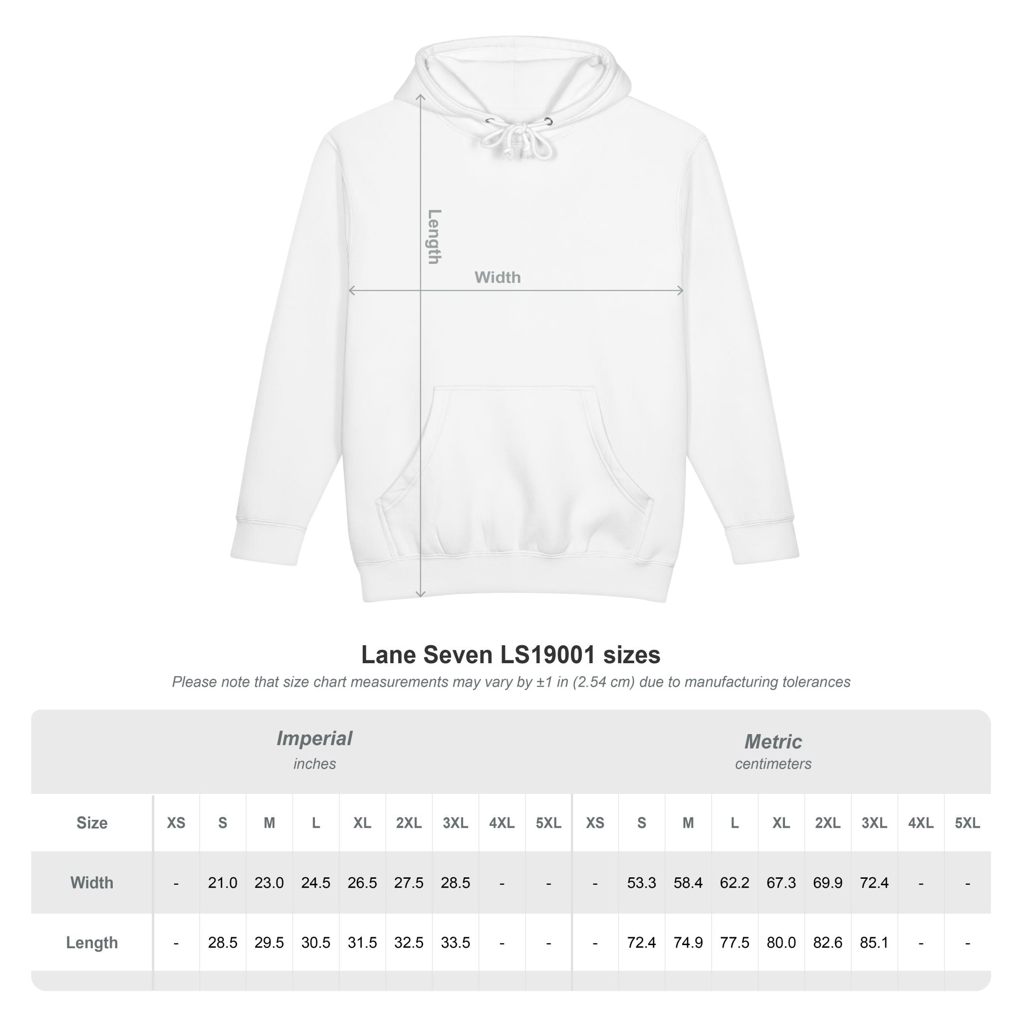Jester Skull Hoodie - Dark Carnival Graphic Pullover (Back Print)